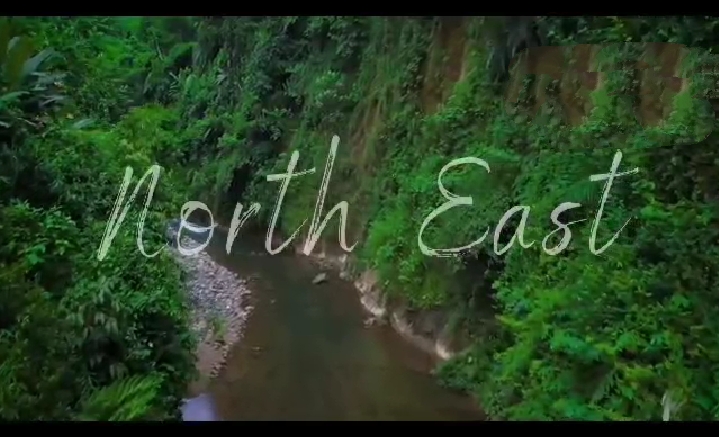 Enchanting Northeast India A 7 Day Tour